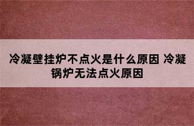 冷凝壁挂炉不点火是什么原因 冷凝锅炉无法点火原因